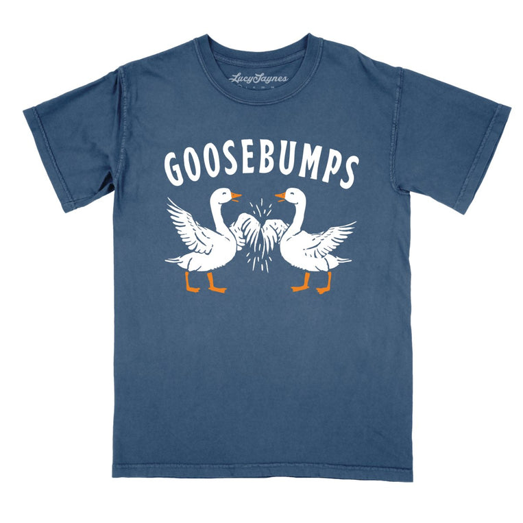 Goosebumps - Denim - Full Front