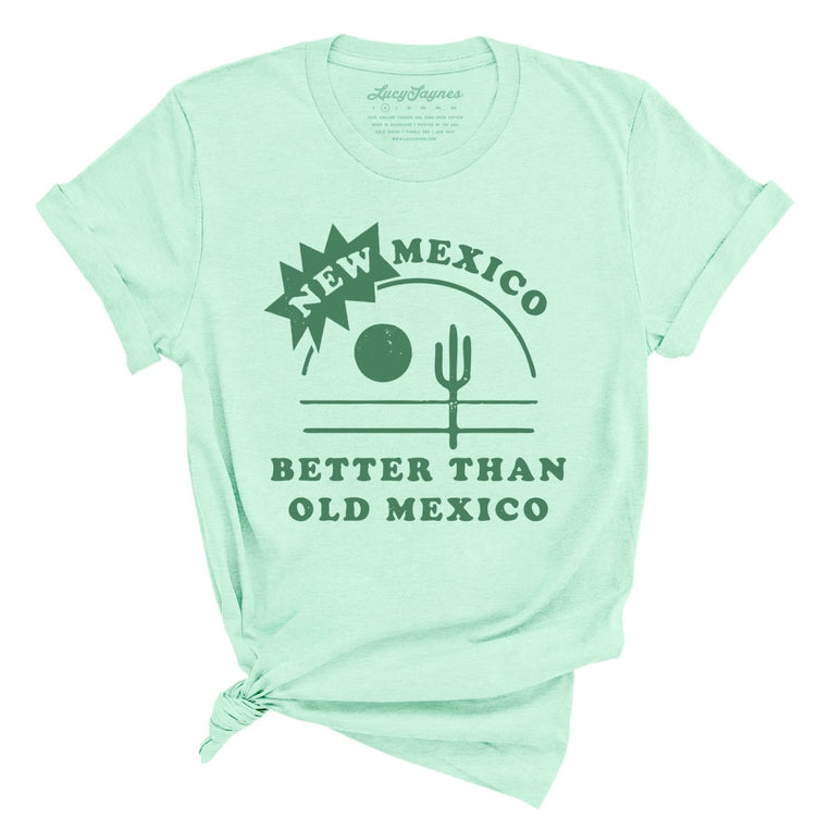 New Mexico Better Than Old Mexico - Heather Mint - Full Front